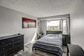 Photo 13: 401 8403 Fairmount Drive SE in Calgary: Acadia Apartment for sale : MLS®# A2080000