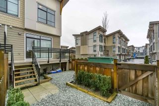 Photo 19: 81 9989 E BARNSTON Drive in Surrey: Fraser Heights Townhouse for sale (North Surrey)  : MLS®# R2237153