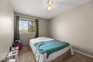 Photo 5: 224 6108 53 Street: Olds Apartment for sale : MLS®# A2127287