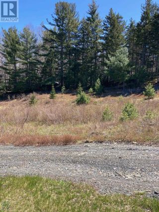 Photo 7: Acreage 2314 Highway 331 in West Lahave: Vacant Land for sale : MLS®# 202209558