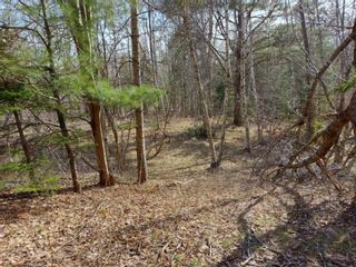 Photo 1: Lot R Rosemary Avenue in Centre Rawdon: 105-East Hants/Colchester West Vacant Land for sale (Halifax-Dartmouth)  : MLS®# 202307735