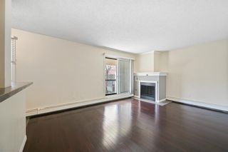 Photo 13: 203 305 25 Avenue SW in Calgary: Mission Apartment for sale : MLS®# A2044945