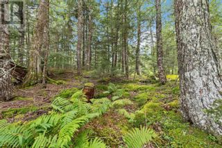 Photo 26: Lot 2 Smugglers Cove Road in Labelle: Vacant Land for sale : MLS®# 202317335
