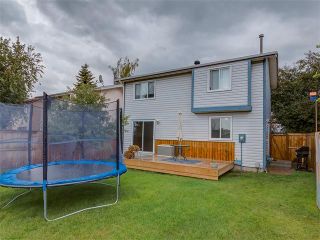 Photo 48: 96 FALTON Way NE in Calgary: Falconridge House for sale : MLS®# C4072963