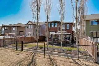 Photo 35: 40 Evanspark Circle NW in Calgary: Evanston Detached for sale : MLS®# A2126976
