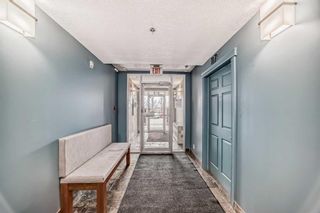 Photo 31: 233 910 Centre Avenue in Calgary: Bridgeland/Riverside Apartment for sale : MLS®# A2127142
