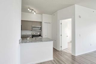 Photo 21: 4606 4641 128 Avenue NE in Calgary: Skyview Ranch Apartment for sale : MLS®# A2133563
