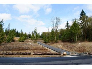 Photo 2: 31961 KENNEY Avenue in Mission: Mission BC Land for sale in "SPORTS PARK" : MLS®# F1436726