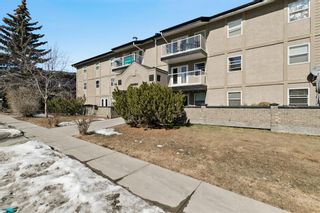 Photo 29: 103 2010 35 Avenue SW in Calgary: Altadore Apartment for sale : MLS®# A2034704