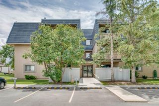 Photo 31: 2310 3115 51 Street SW in Calgary: Glenbrook Apartment for sale : MLS®# A1014586