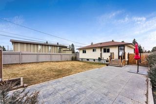 Photo 29: 8331 Bowness Road NW in Calgary: Bowness Detached for sale : MLS®# A1092285