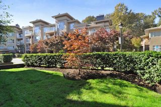 Photo 19: 113 2558 PARKVIEW Lane in Port Coquitlam: Central Pt Coquitlam Condo for sale : MLS®# R2212920