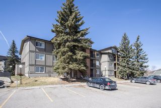 Photo 2: 333 6400 coach hill Road in Calgary: Coach Hill Apartment for sale : MLS®# A1089415