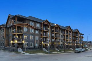 Photo 1: 1106 450 KINCORA GLEN Road in Calgary: Kincora Apartment for sale : MLS®# A2093097