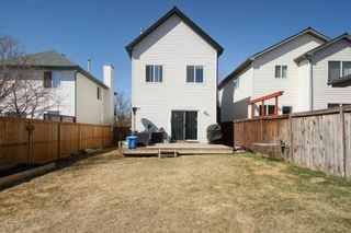 Photo 30: 26 Mt Aberdeen Link SE in Calgary: McKenzie Lake Detached for sale : MLS®# A1095540