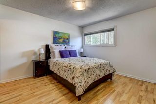 Photo 15: 101 Clarendon Road NW in Calgary: Collingwood Detached for sale : MLS®# A2079855