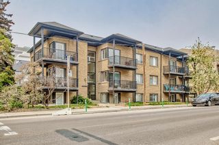 Photo 1: 3 2417 2 Street SW in Calgary: Mission Apartment for sale : MLS®# A2051600
