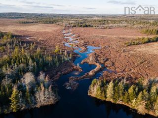 Photo 7: Lot 39 Clyde River in Clyde River: 407-Shelburne County Vacant Land for sale (South Shore)  : MLS®# 202206583