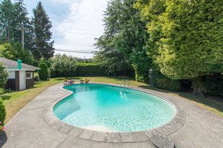 Photo 14: 2037 ALLISON Road in Vancouver: University VW House for sale in "UEL SOUTH" (Vancouver West)  : MLS®# R2100165