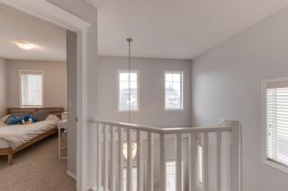 Photo 21: 67 Evansford Circle NW in Calgary: Evanston Detached for sale : MLS®# A1199207