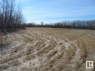 Photo 10: 12 Ivan Road 587104 Hwy 38: Rural Sturgeon County Rural Land/Vacant Lot for sale : MLS®# E4239338