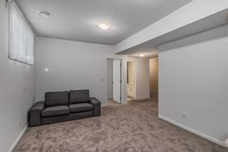Photo 34: 59 Carringham Way NW in Calgary: Carrington Detached for sale : MLS®# A2102057