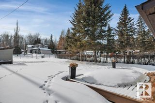 Photo 30: 120 Crystal Springs: Rural Wetaskiwin County House for sale : MLS®# E4330240