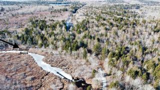 Photo 7: Lot Major Road in Hassett: Digby County Vacant Land for sale (Annapolis Valley)  : MLS®# 202400799