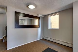 Photo 17: 302 534 20 Avenue SW in Calgary: Cliff Bungalow Apartment for sale : MLS®# A1210060
