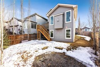 Photo 27: 211 CRANBERRY Circle SE in Calgary: Cranston Residential for sale ()  : MLS®# A1075893