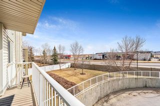 Photo 14: 212 7 Harvest Gold Manor NE in Calgary: Harvest Hills Apartment for sale : MLS®# A2039261