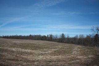 Photo 3: 2nd Line in Roseneath: Land Only for sale : MLS®# 188329