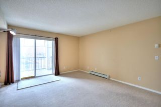 Photo 15: 1425 8810 Royal Birch Boulevard NW in Calgary: Royal Oak Apartment for sale : MLS®# A1209055