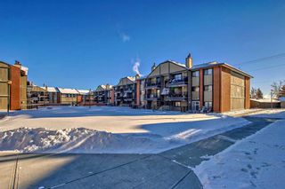 Photo 45: 4314 13045 6 Street SW in Calgary: Canyon Meadows Apartment for sale : MLS®# A2101573