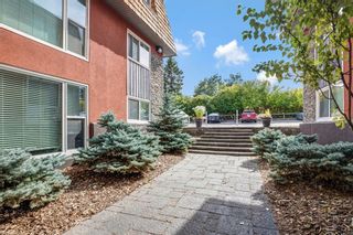 Photo 3: 110 315 50 Avenue SW in Calgary: Windsor Park Apartment for sale : MLS®# A2016609
