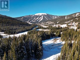 Photo 3: LOT 10 MCGILLIVRAY LAKE DRIVE in Sun Peaks: Vacant Land for sale : MLS®# 176118