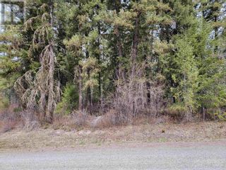 Photo 5: 3263 BOESEM ROAD in Quesnel: Vacant Land for sale : MLS®# R2877614