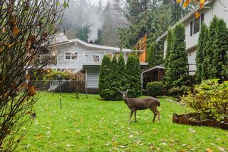 Photo 31: 1650 DEEP COVE Road in North Vancouver: Deep Cove House for sale : MLS®# R2634075