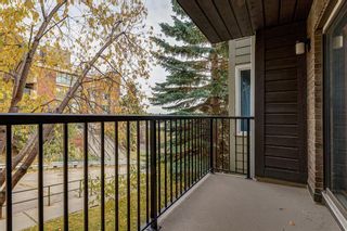 Photo 14: 204 333 2 Avenue NE in Calgary: Crescent Heights Apartment for sale : MLS®# A1039174