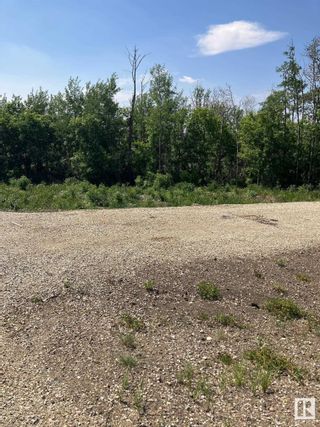 Photo 7: 26319 Meadowview Drive: Rural Sturgeon County Vacant Lot/Land for sale : MLS®# E4330691