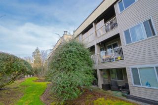 Photo 10: 113 1209 HOWIE Avenue in Coquitlam: Central Coquitlam Condo for sale : MLS®# R2865999