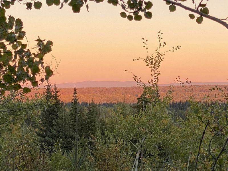 FEATURED LISTING: N1/2of - DL7871 TAKLA FOREST Road Prince George