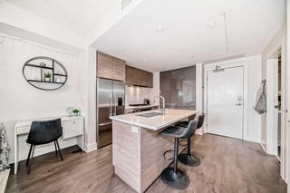 Photo 7: 313 38 9 Street NE in Calgary: Bridgeland/Riverside Apartment for sale : MLS®# A2133357