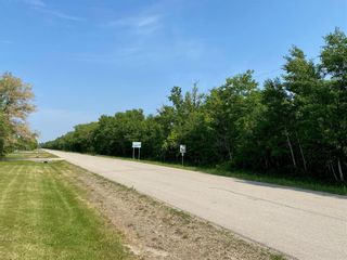Photo 1: 1 Sawchuk Drive in St Andrews: Vacant Land for sale : MLS®# 202302253