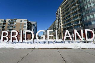 Photo 21: 303 46 9 Street NE in Calgary: Bridgeland/Riverside Apartment for sale : MLS®# A2120826