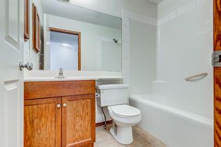 Photo 32: 113 Evanspark Terrace NW in Calgary: Evanston Detached for sale : MLS®# A1182211
