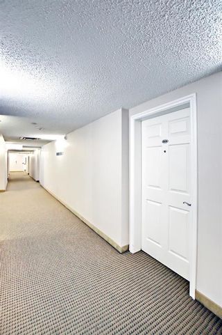 Photo 3: 2206 5200 44 Avenue NE in Calgary: Whitehorn Apartment for sale : MLS®# A1210439