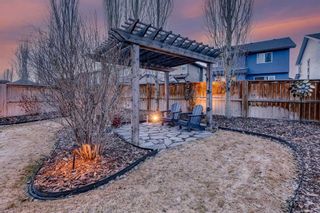 Photo 37: 39 Silverado Skies Manor SW in Calgary: Silverado Detached for sale : MLS®# A2122875