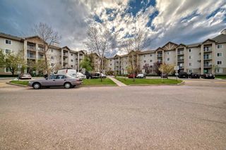 Photo 42: 209 1717 60 Street SE in Calgary: Red Carpet Apartment for sale : MLS®# A2133379