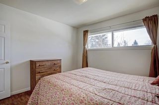 Photo 15: 24 Hyslop Drive SW in Calgary: Haysboro Detached for sale : MLS®# A1080957